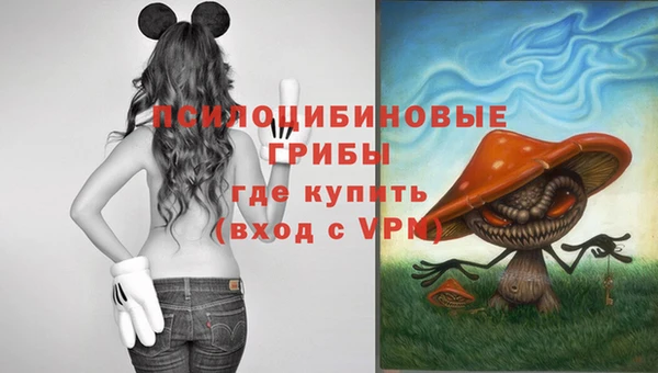 кокаин Алексеевка