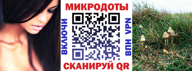 магазин    Невьянск  Псилоцибиновые грибы мухоморы 